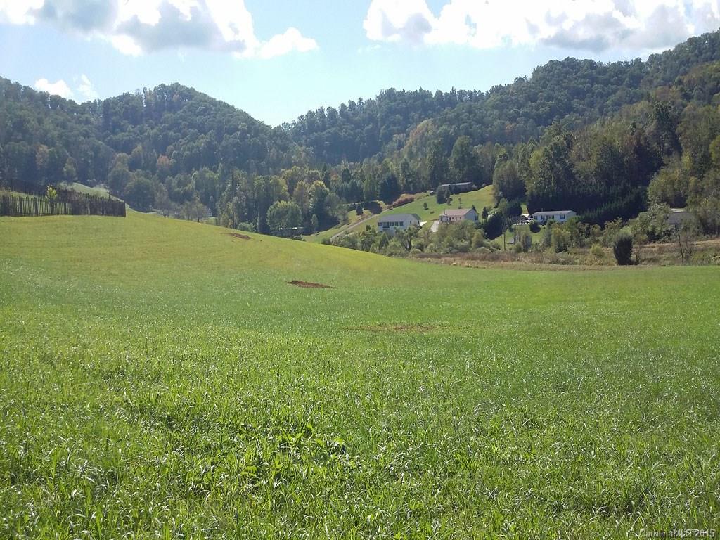 720 Green Valley Road Leicester, NC 28748 - Photo 2 of 9 a view of a lush green hillside and houses