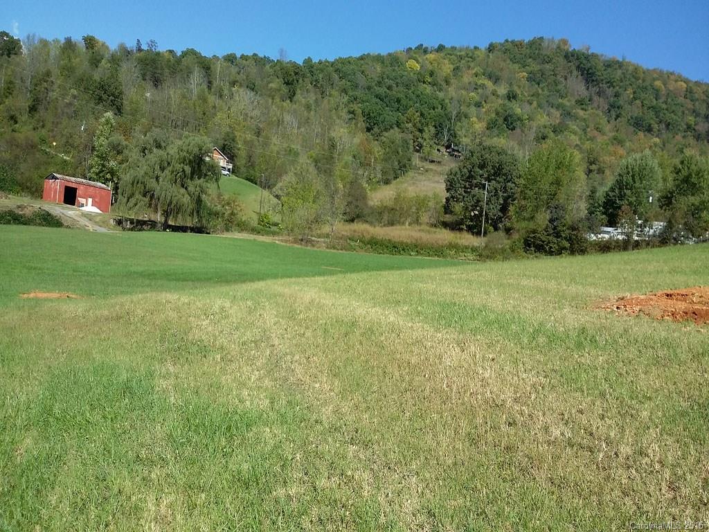 720 Green Valley Road Leicester, NC 28748 - Photo 8 of 9 a view of a field with a tree in the background