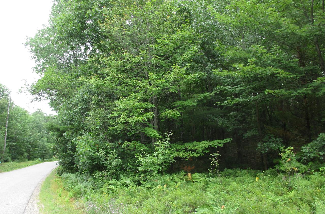 Off Shore Drive Rhinelander, WI 54501 - Photo 4 of 6