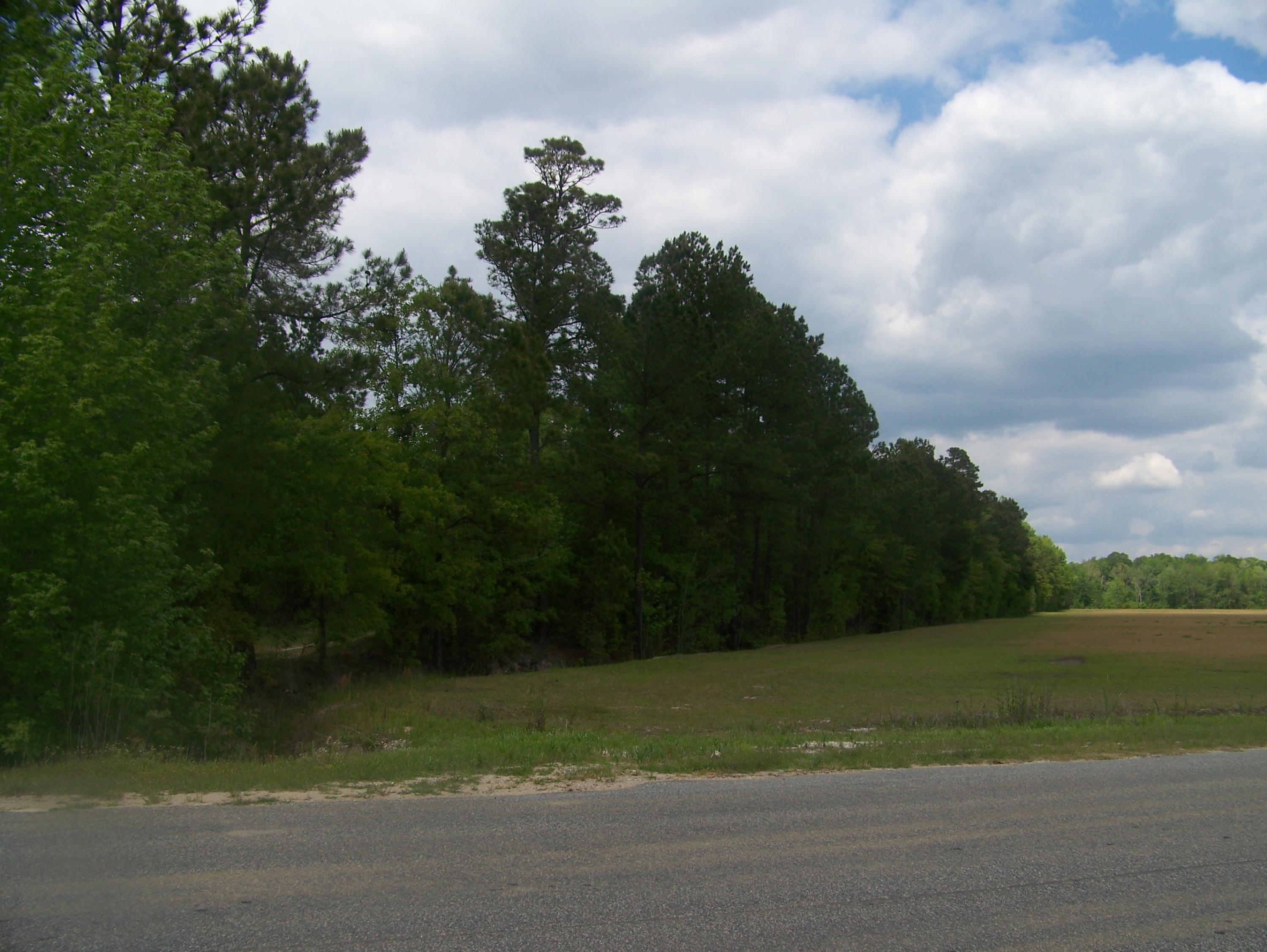0 Heins Road Greeleyville, SC 29056 - Photo 2 of 21 100_1189