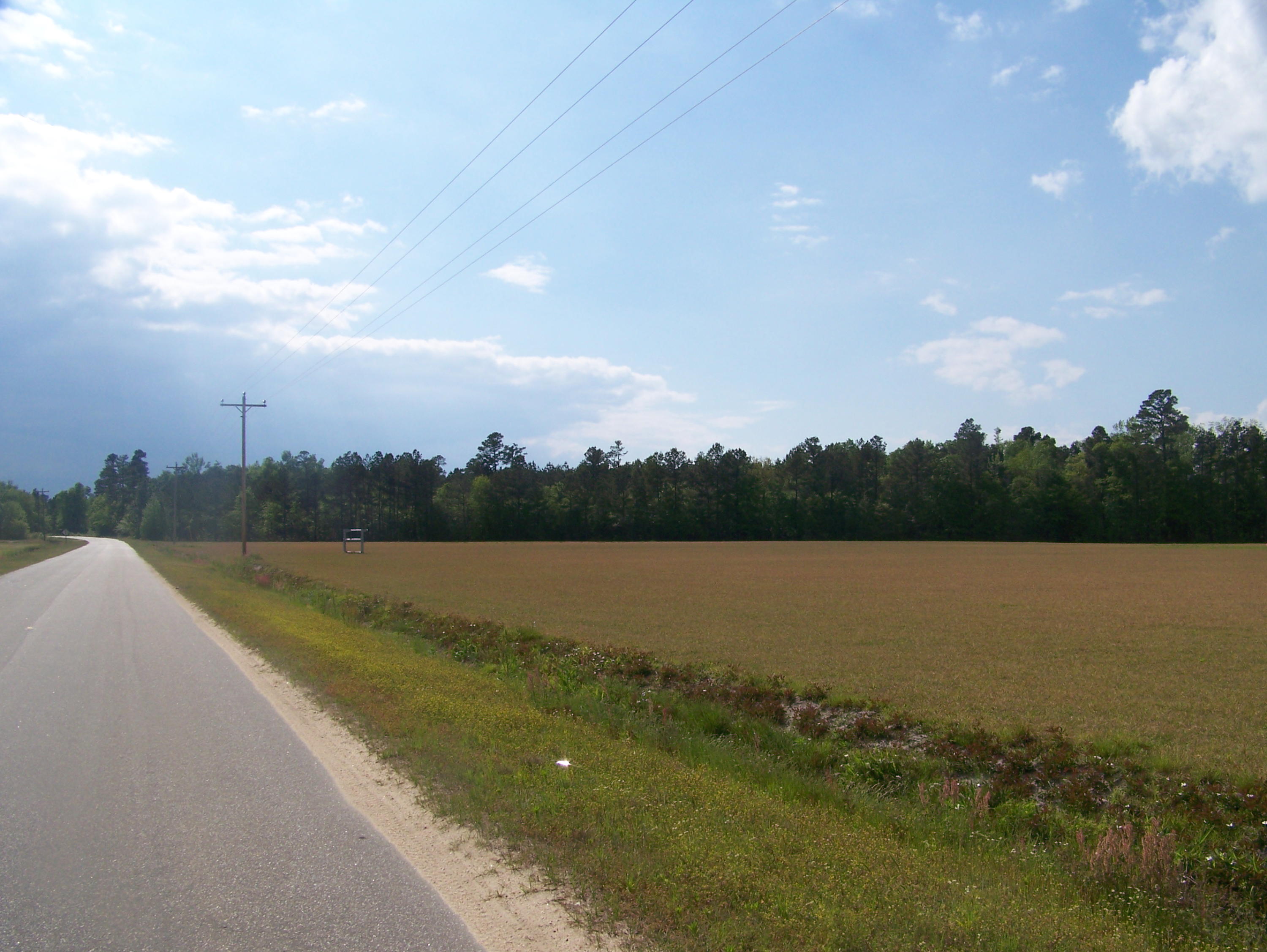 0 Heins Road Greeleyville, SC 29056 - Photo 19 of 21 100_1221
