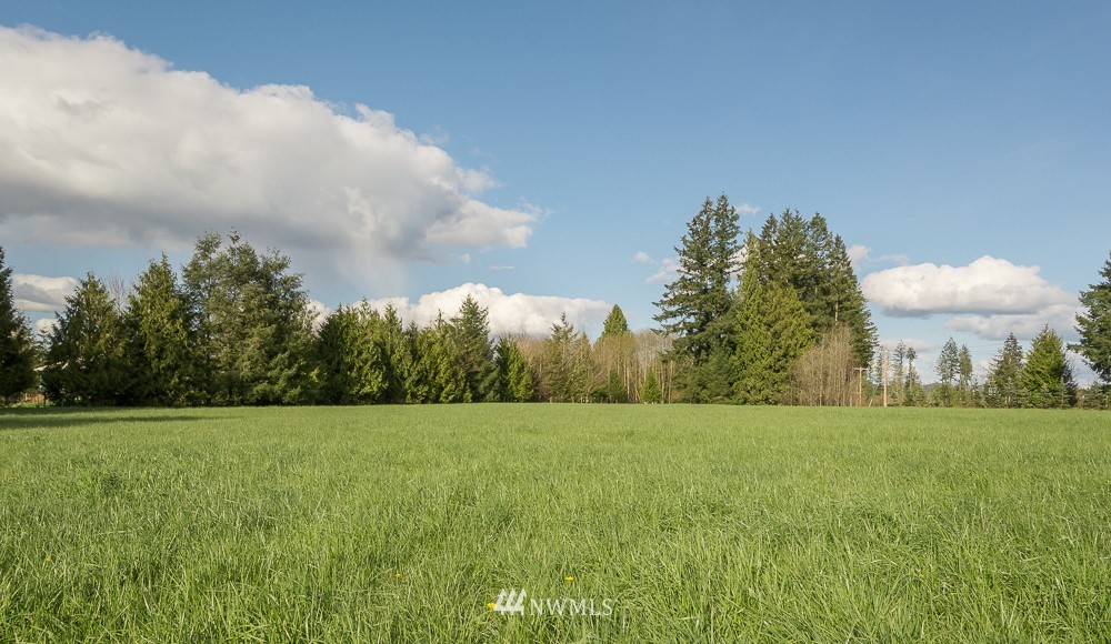 1397 Middle Fork Road Onalaska, WA 98570 - Photo 24 of 25 Gallery Image 24