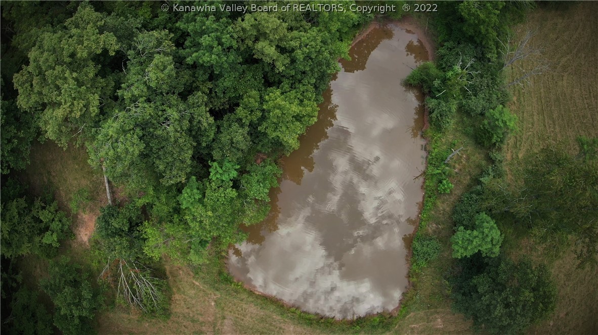 0 Nine Nine Mile Road Southside, WV 25187 - Photo 10 of 14 Gallery Image 10