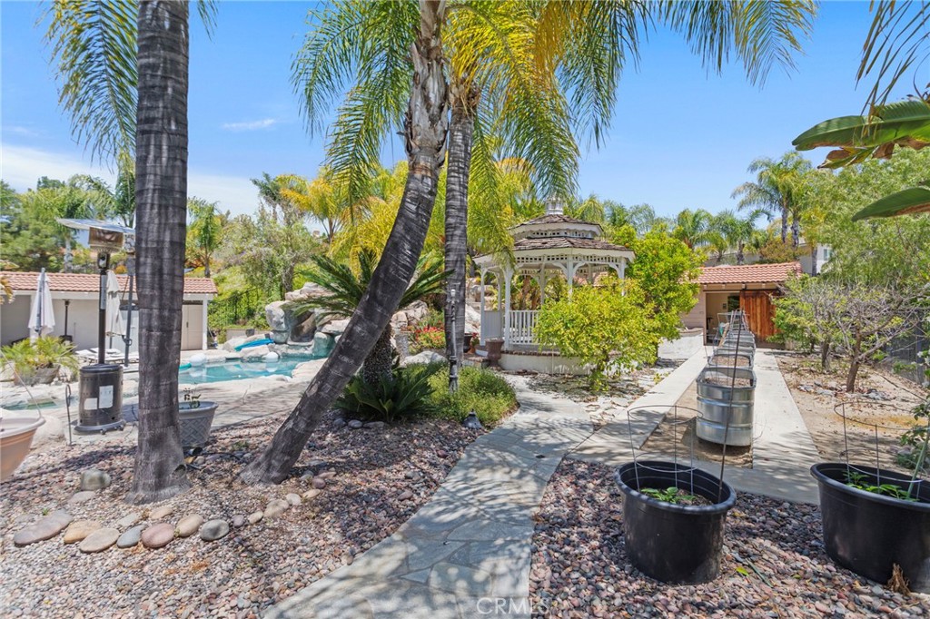 31500 Britton Circle Temecula, CA 92591 - Photo 43 of 44 a view of a backyard with potted plants and palm trees