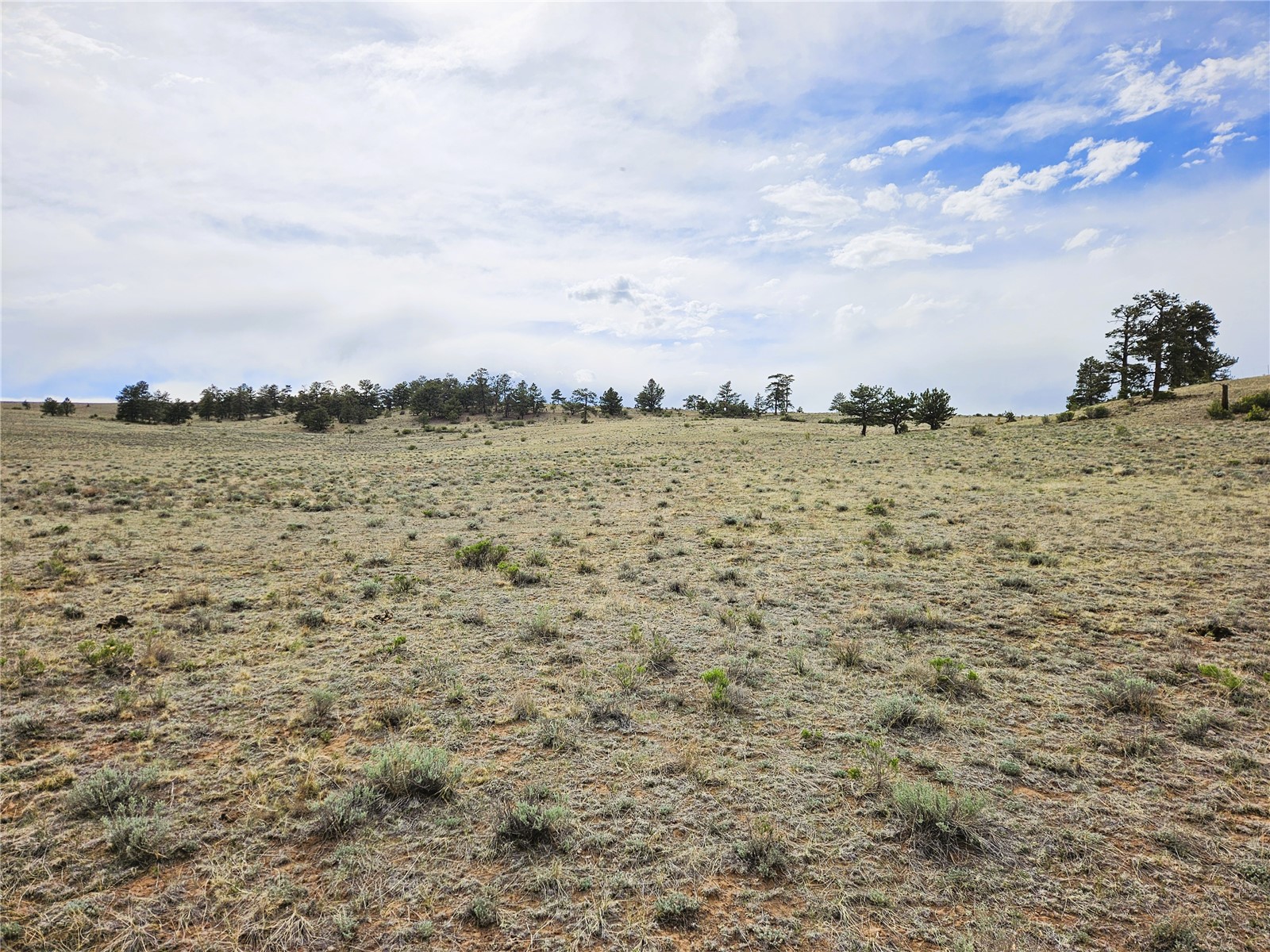 Pcs#24131 Chato Road Hartsel, CO 80449 - Photo 26 of 28