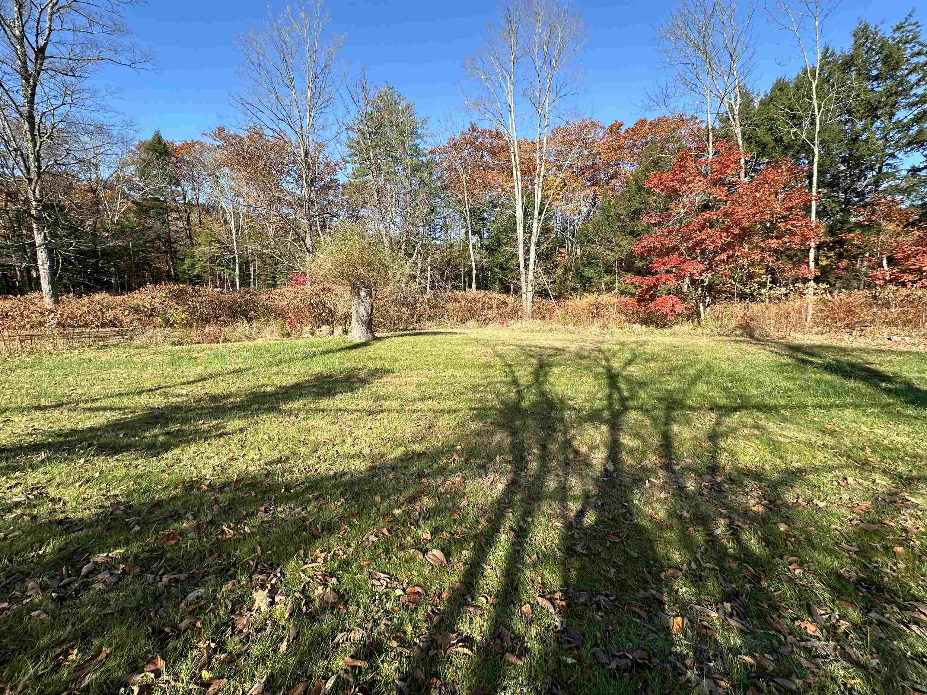 429 Highway 30 Newfane, VT 05345 - Photo 17 of 23