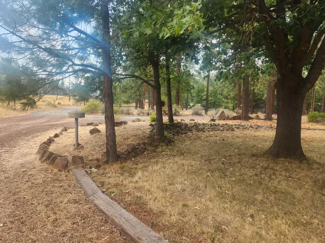 a view of a yard with trees