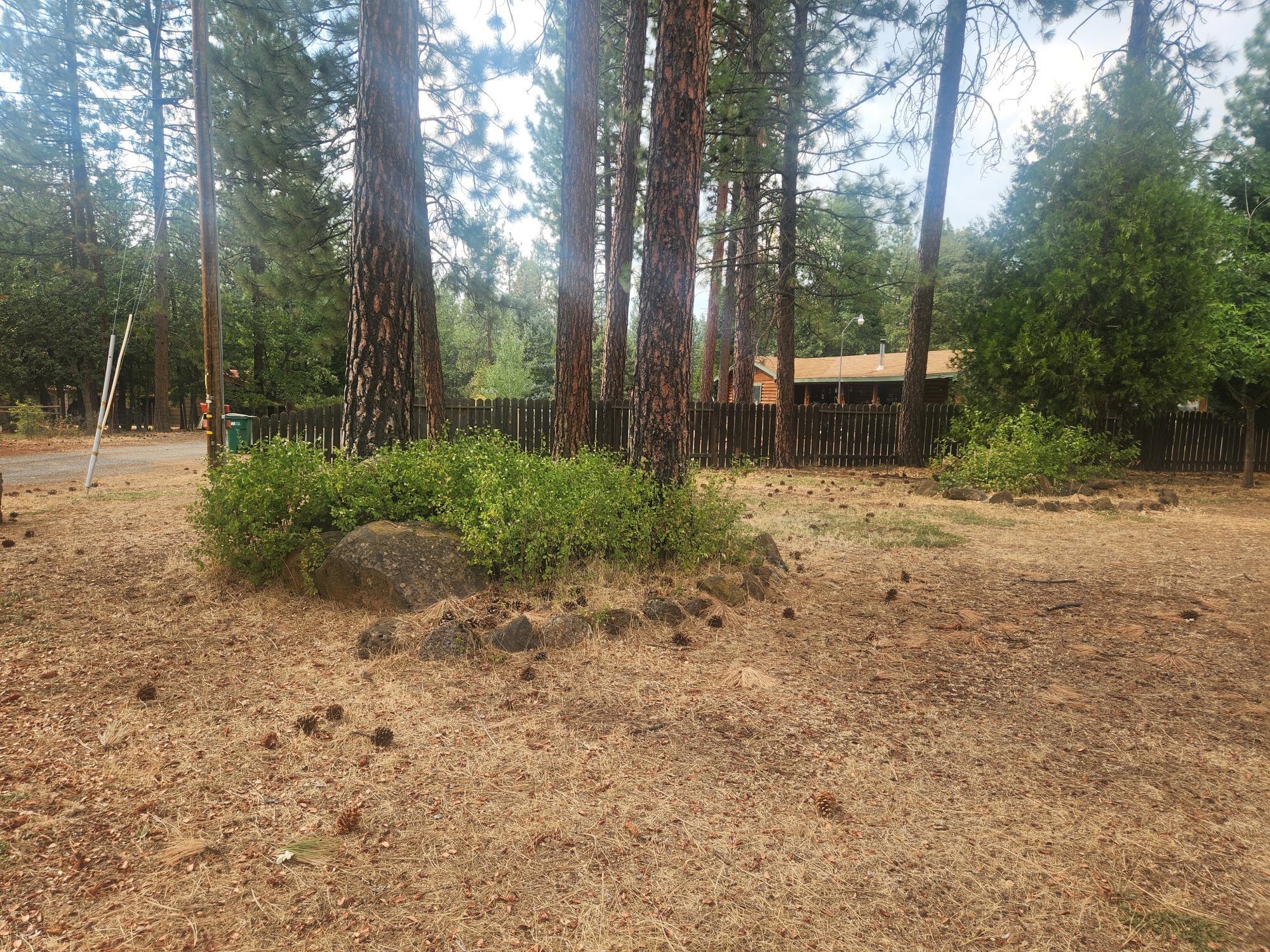 21737 Shadow Lane Burney, CA 96013 - Photo 17 of 19 a view of backyard with trees