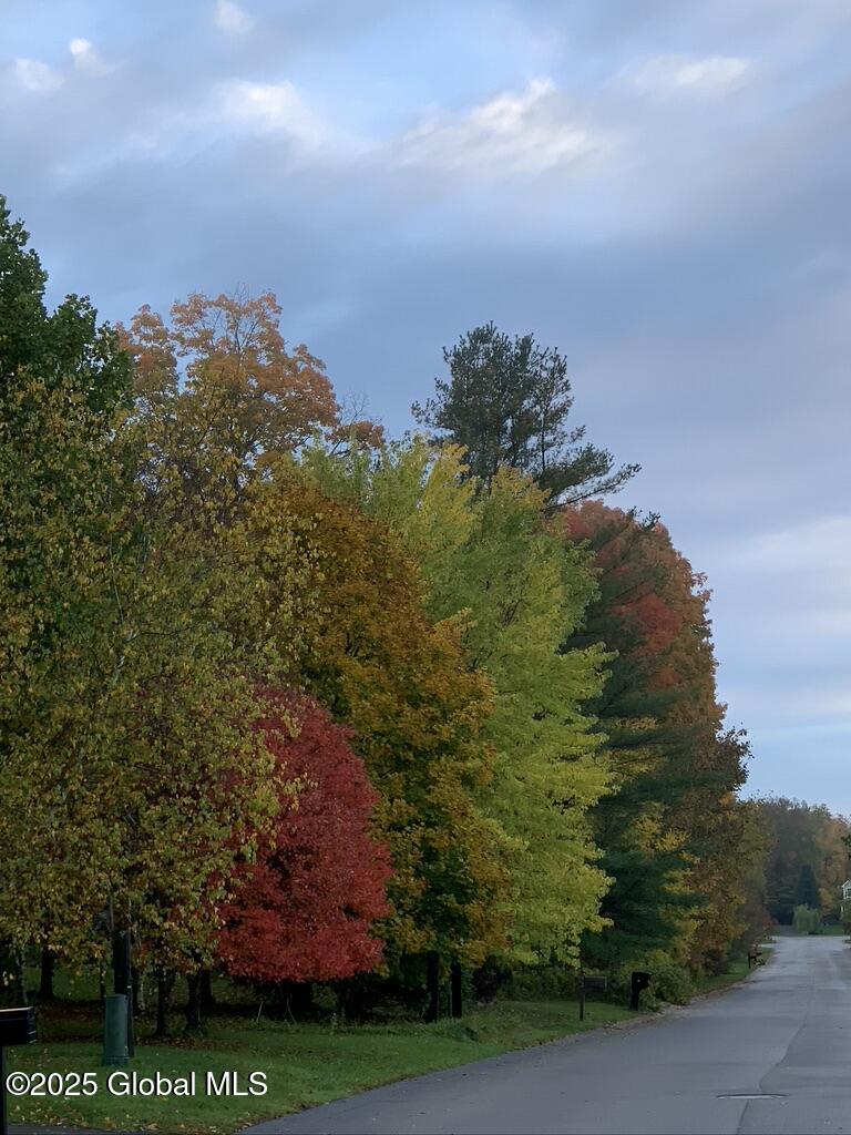 51 Hoffman Road Milton, NY 12866 - Photo 63 of 65 51HoffmanRdFallTrees