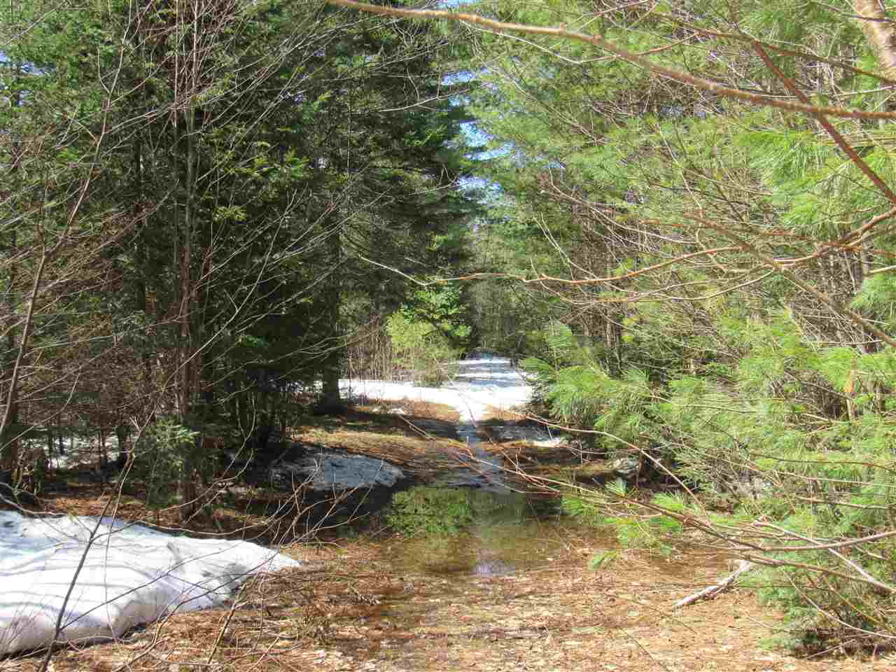 Lot 1-2 & 5 Gendron Road Jay, VT 05859 - Photo 17 of 29 Gallery Image 17
