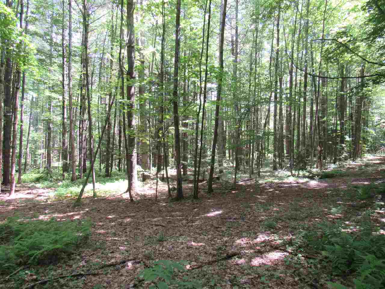 Lot 1-2 & 5 Gendron Road Jay, VT 05859 - Photo 18 of 29 Gallery Image 18