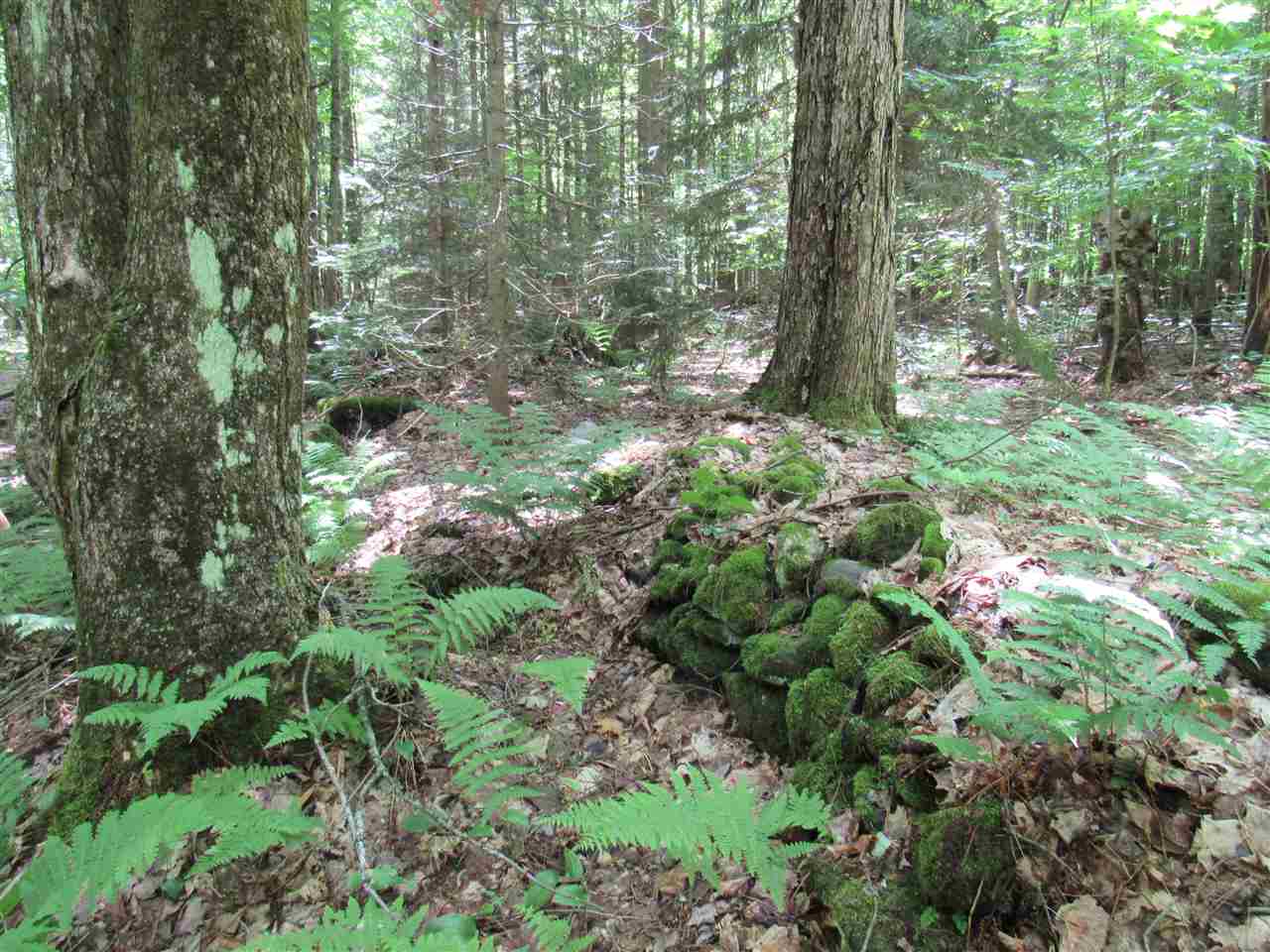 Lot 1-2 & 5 Gendron Road Jay, VT 05859 - Photo 19 of 29 Gallery Image 19