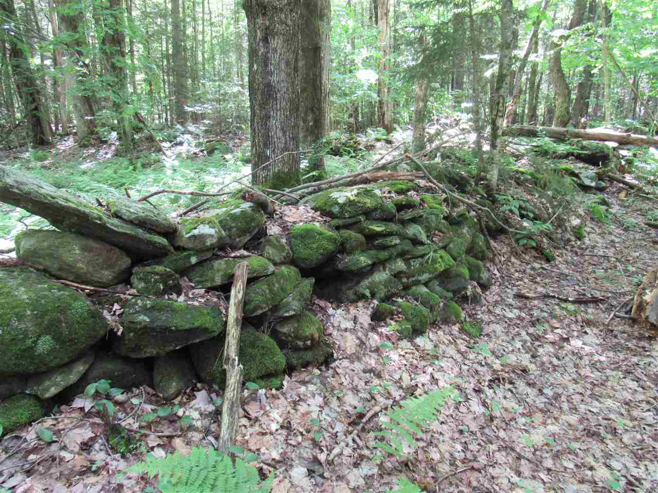 Lot 1-2 & 5 Gendron Road Jay, VT 05859 - Photo 20 of 29 Gallery Image 20