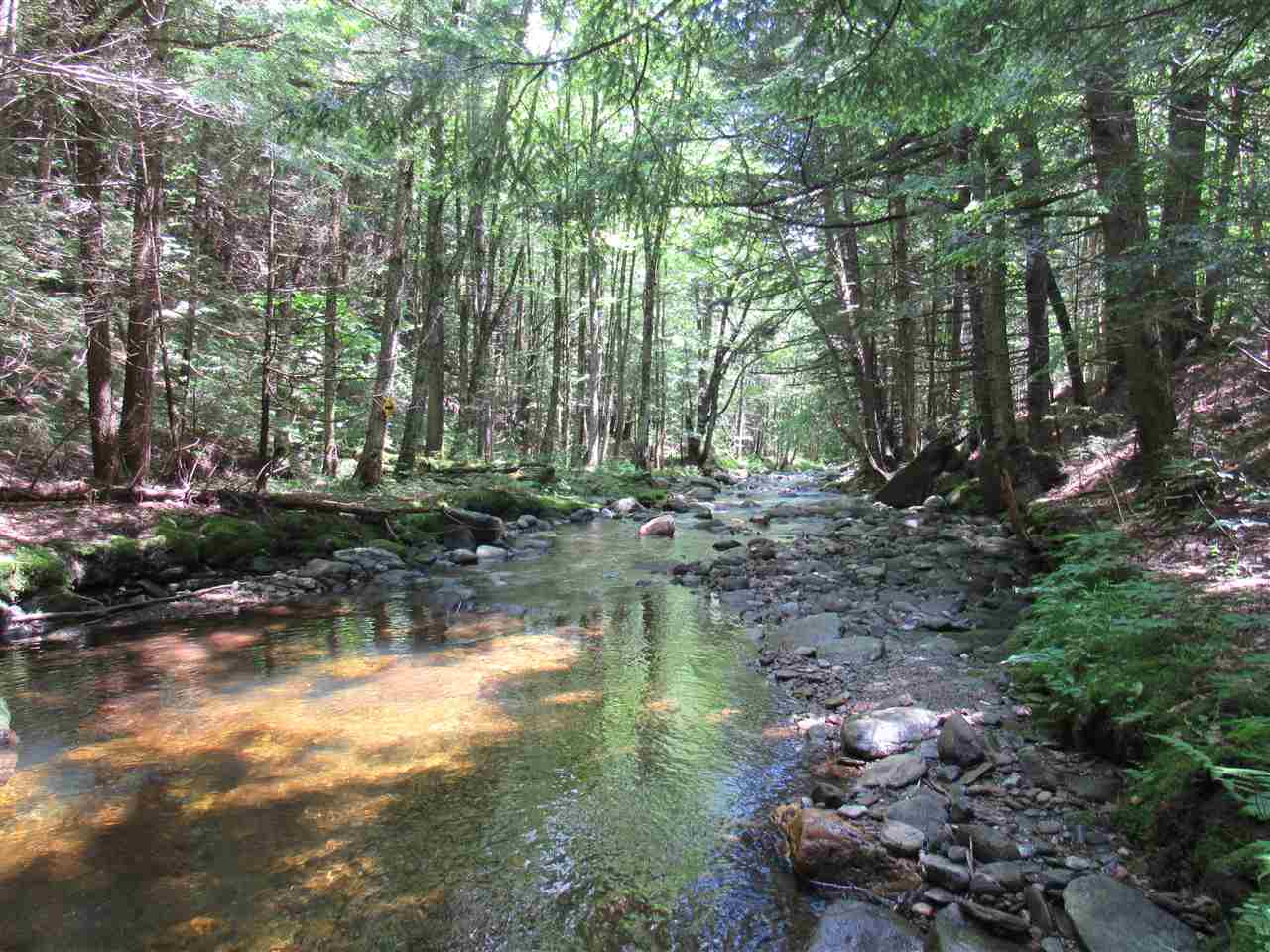 Lot 1-2 & 5 Gendron Road Jay, VT 05859 - Photo 3 of 29 Gallery Image 3