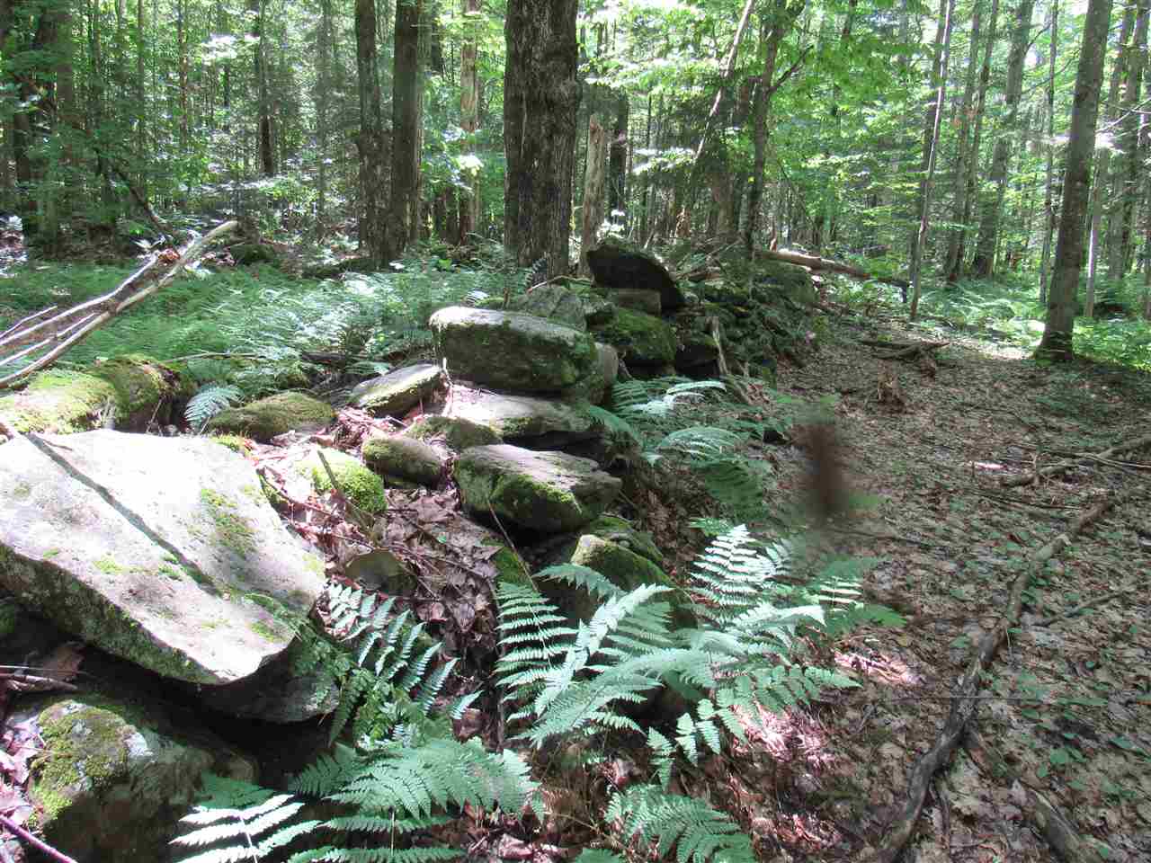 Lot 1-2 & 5 Gendron Road Jay, VT 05859 - Photo 21 of 29 Gallery Image 21