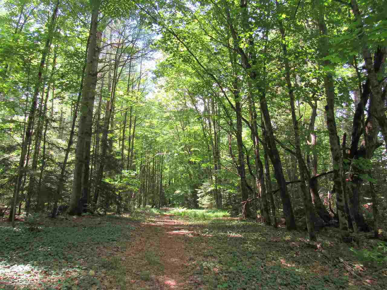 Lot 1-2 & 5 Gendron Road Jay, VT 05859 - Photo 22 of 29 Gallery Image 22