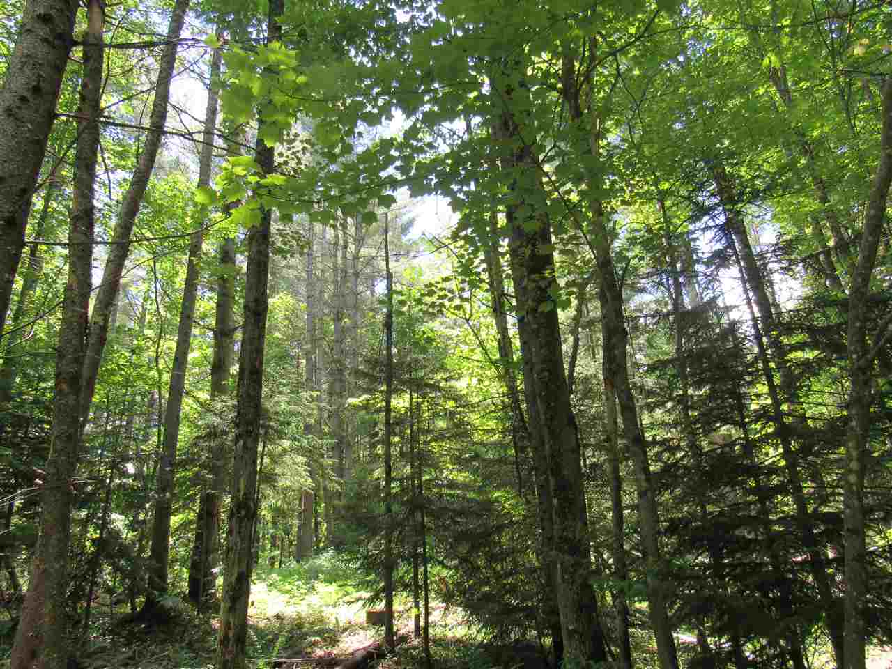 Lot 1-2 & 5 Gendron Road Jay, VT 05859 - Photo 23 of 29 Gallery Image 23