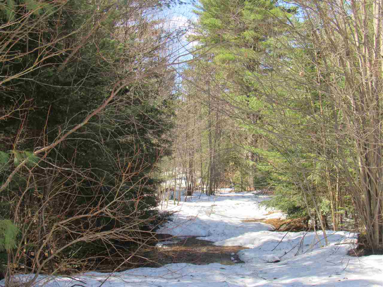 Lot 1-2 & 5 Gendron Road Jay, VT 05859 - Photo 24 of 29 Gallery Image 24
