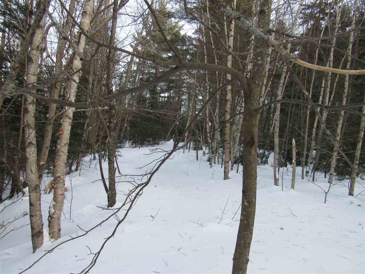 Lot 1-2 & 5 Gendron Road Jay, VT 05859 - Photo 25 of 29 Gallery Image 25