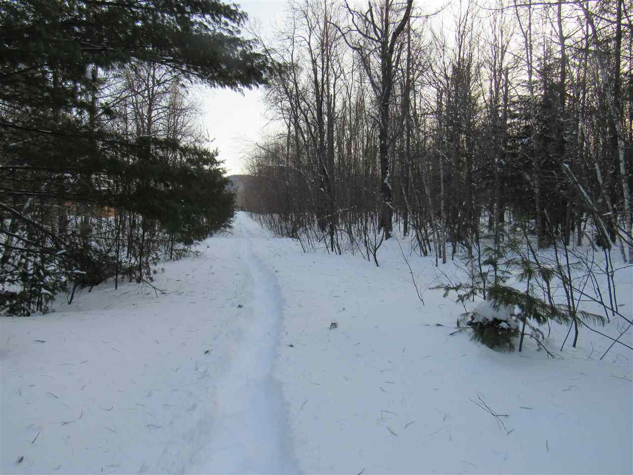 Lot 1-2 & 5 Gendron Road Jay, VT 05859 - Photo 26 of 29 Gallery Image 26