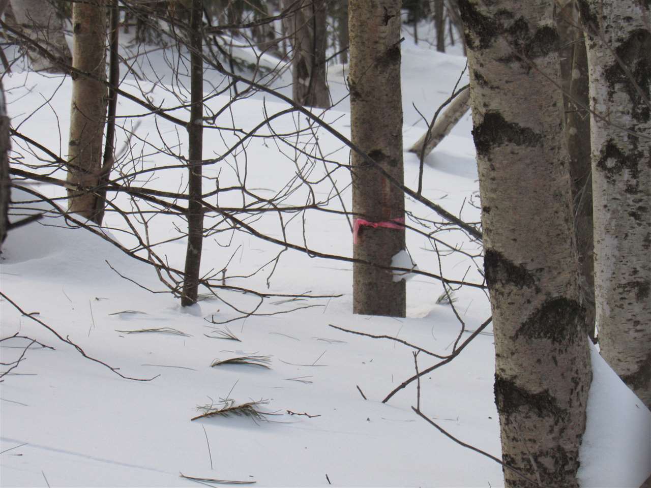 Lot 1-2 & 5 Gendron Road Jay, VT 05859 - Photo 28 of 29 Gallery Image 28