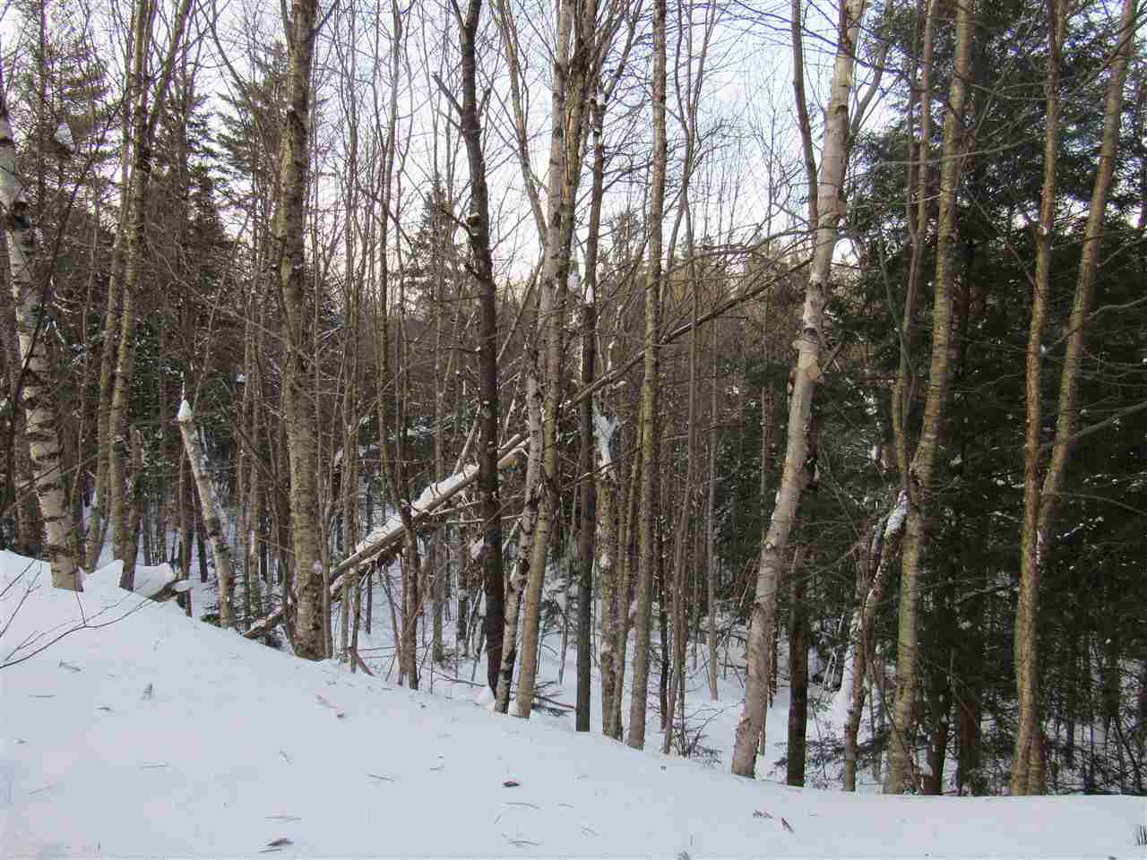 Lot 1-2 & 5 Gendron Road Jay, VT 05859 - Photo 29 of 29 Gallery Image 29