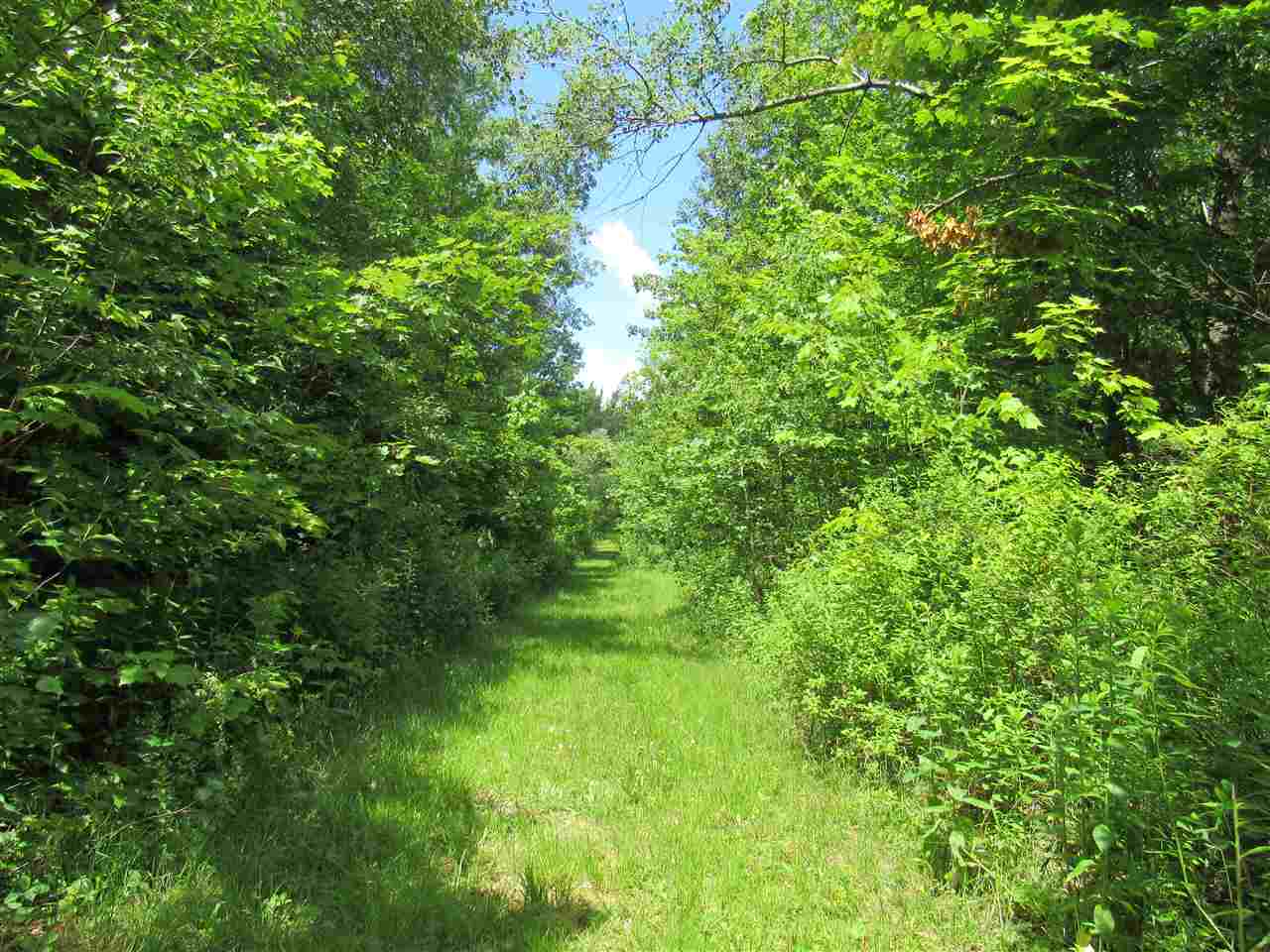 Lot 1-2 & 5 Gendron Road Jay, VT 05859 - Photo 4 of 29 Gallery Image 4