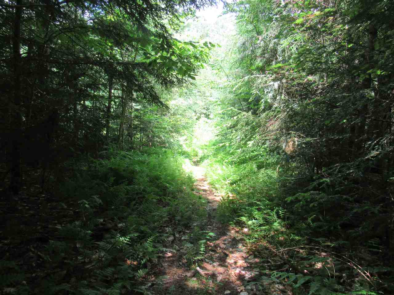 Lot 1-2 & 5 Gendron Road Jay, VT 05859 - Photo 6 of 29 Gallery Image 6