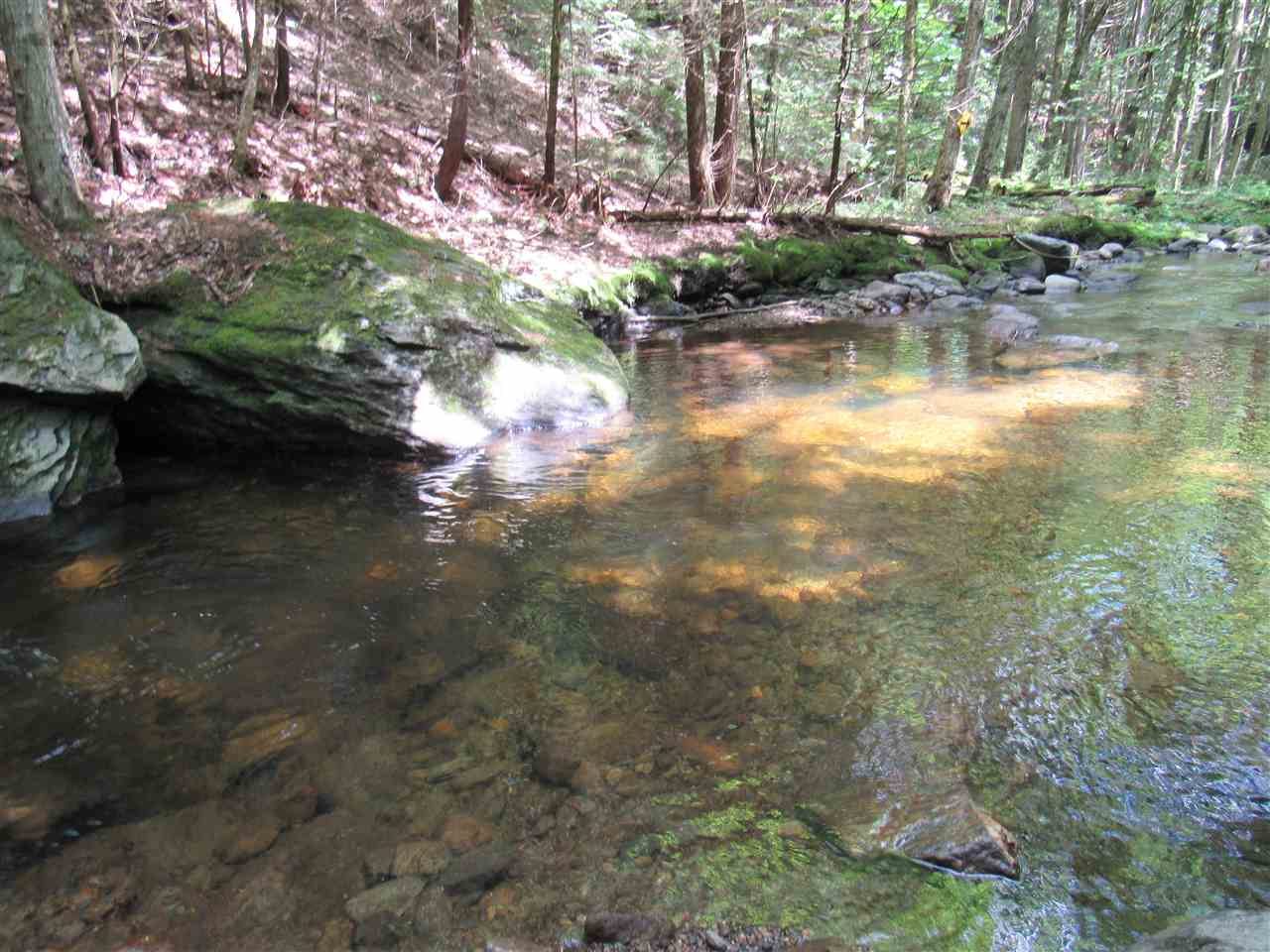 Lot 1-2 & 5 Gendron Road Jay, VT 05859 - Photo 9 of 29 Gallery Image 9