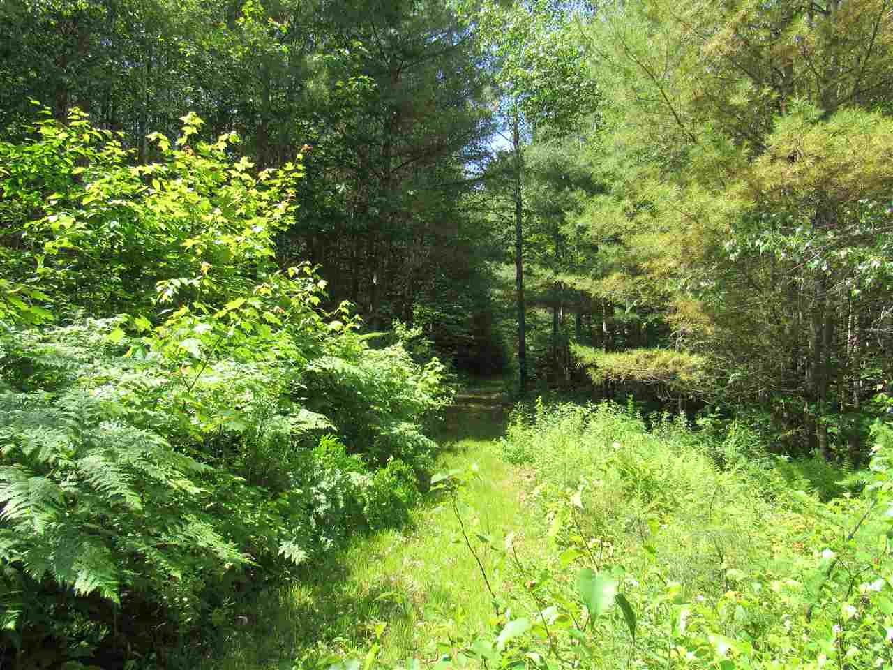 Lot 1-2 & 5 Gendron Road Jay, VT 05859 - Photo 10 of 29 Gallery Image 10