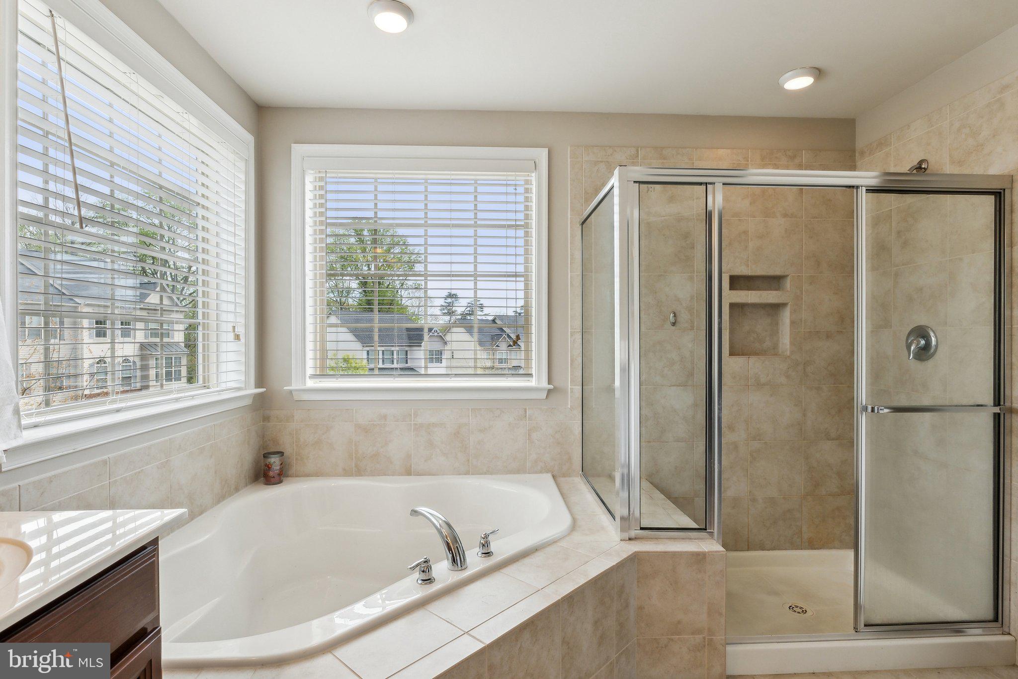 305 Hersden Lane Arnold, MD 21012 - Photo 18 of 23 a bathroom with a large tub a shower and view