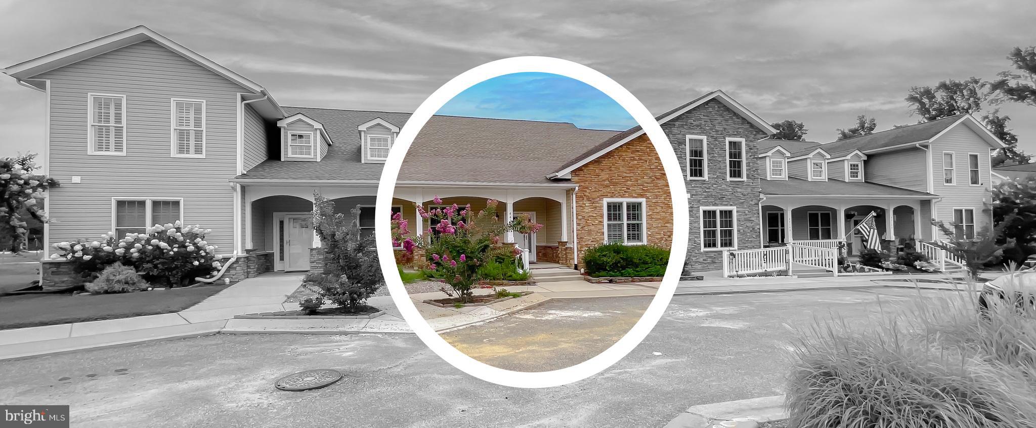 a view of a white house with potted plants and large tree