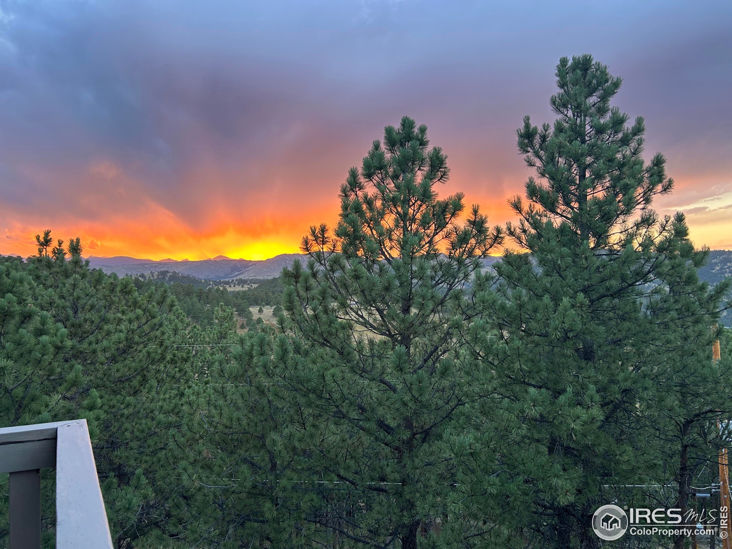 65 Bristlecone Way Boulder, CO 80304 - Photo 3 of 49 a view of a yard