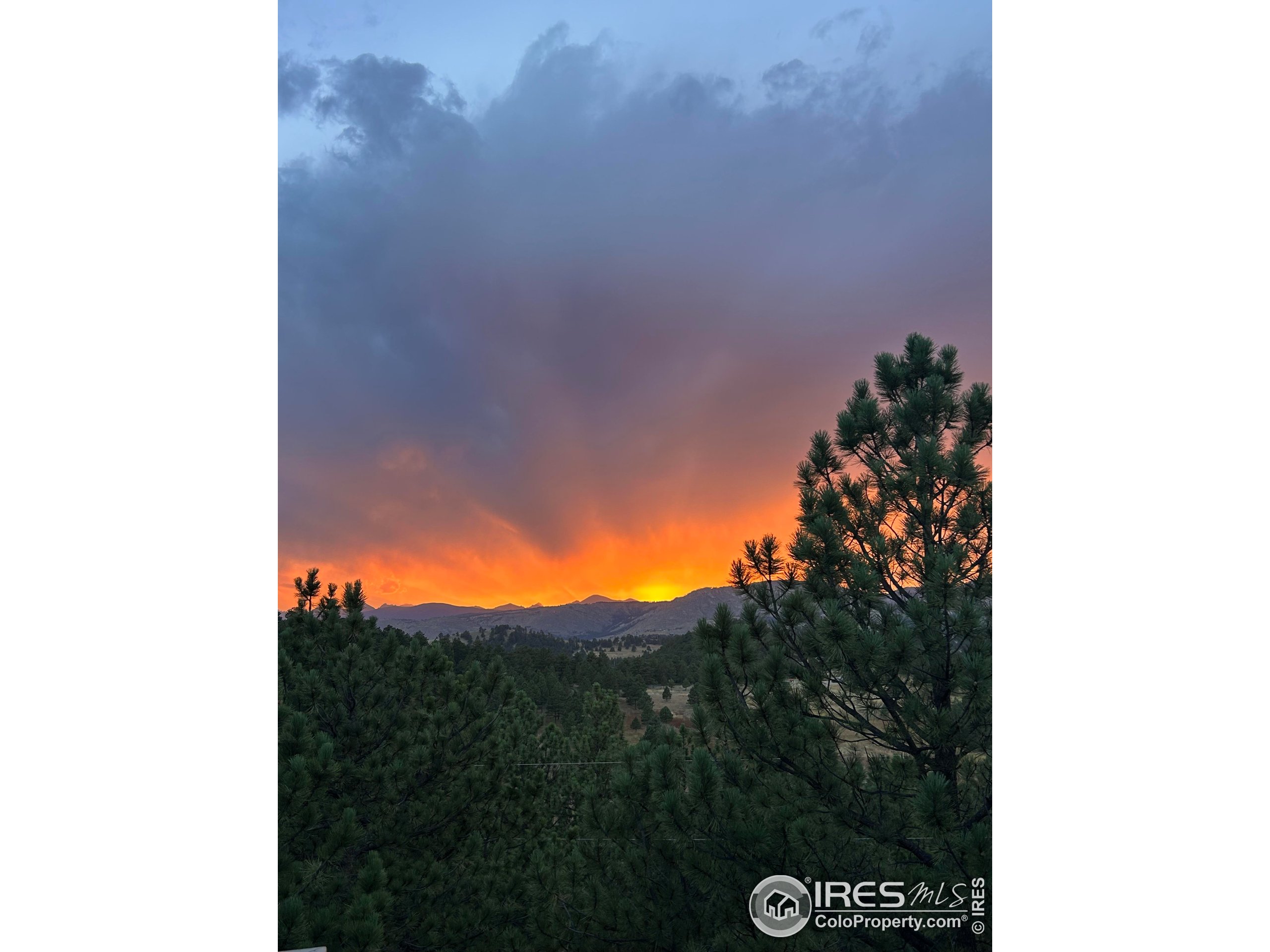 65 Bristlecone Way Boulder, CO 80304 - Photo 45 of 49 a view of a outdoor space