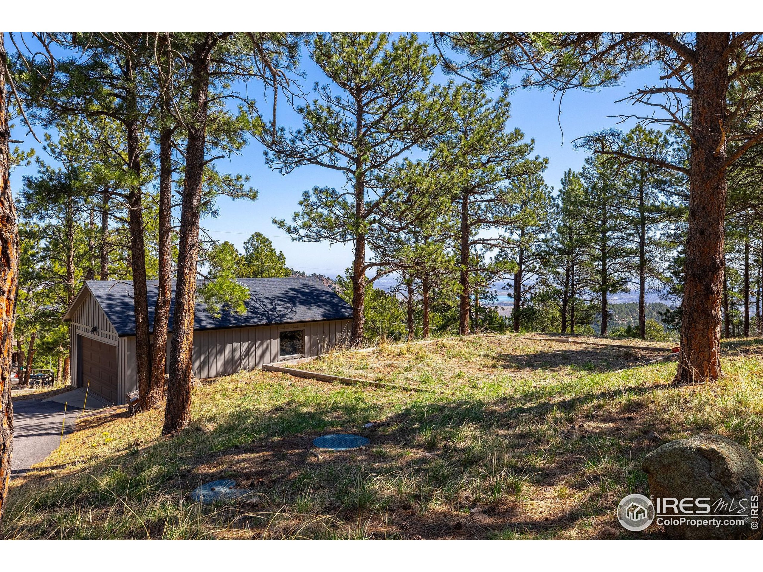65 Bristlecone Way Boulder, CO 80304 - Photo 46 of 49 a view of a yard with large trees