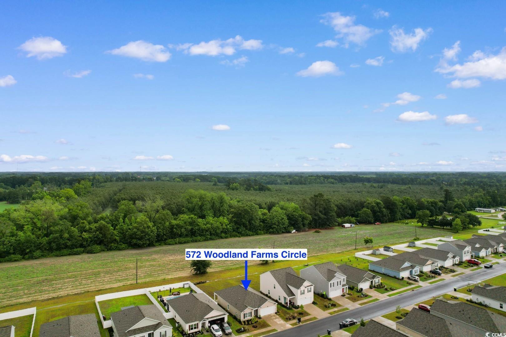 572 Woodland Farms Circle Aynor, SC 29511 - Photo 39 of 40