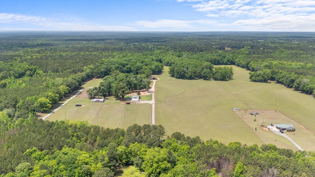 186 Beech Springs Road Pine Mountain, GA 31822 - Photo 5 of 59