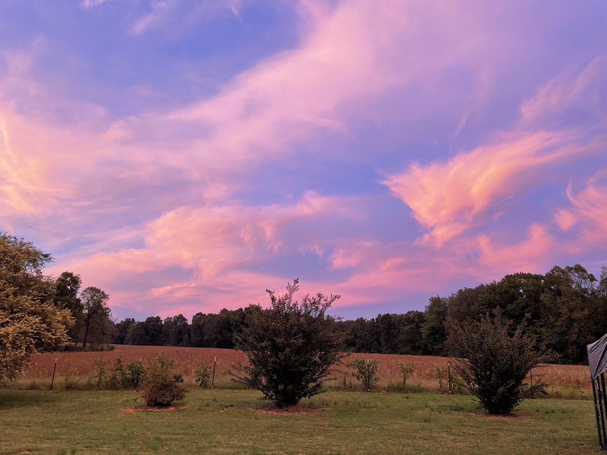 407 McLeary Road Jackson, TN 38305 - Photo 3 of 42 a view of a lake and sunset