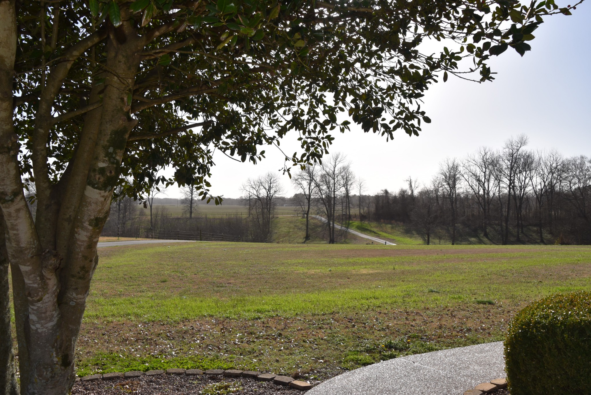 407 McLeary Road Jackson, TN 38305 - Photo 31 of 42 a view of a field with an trees