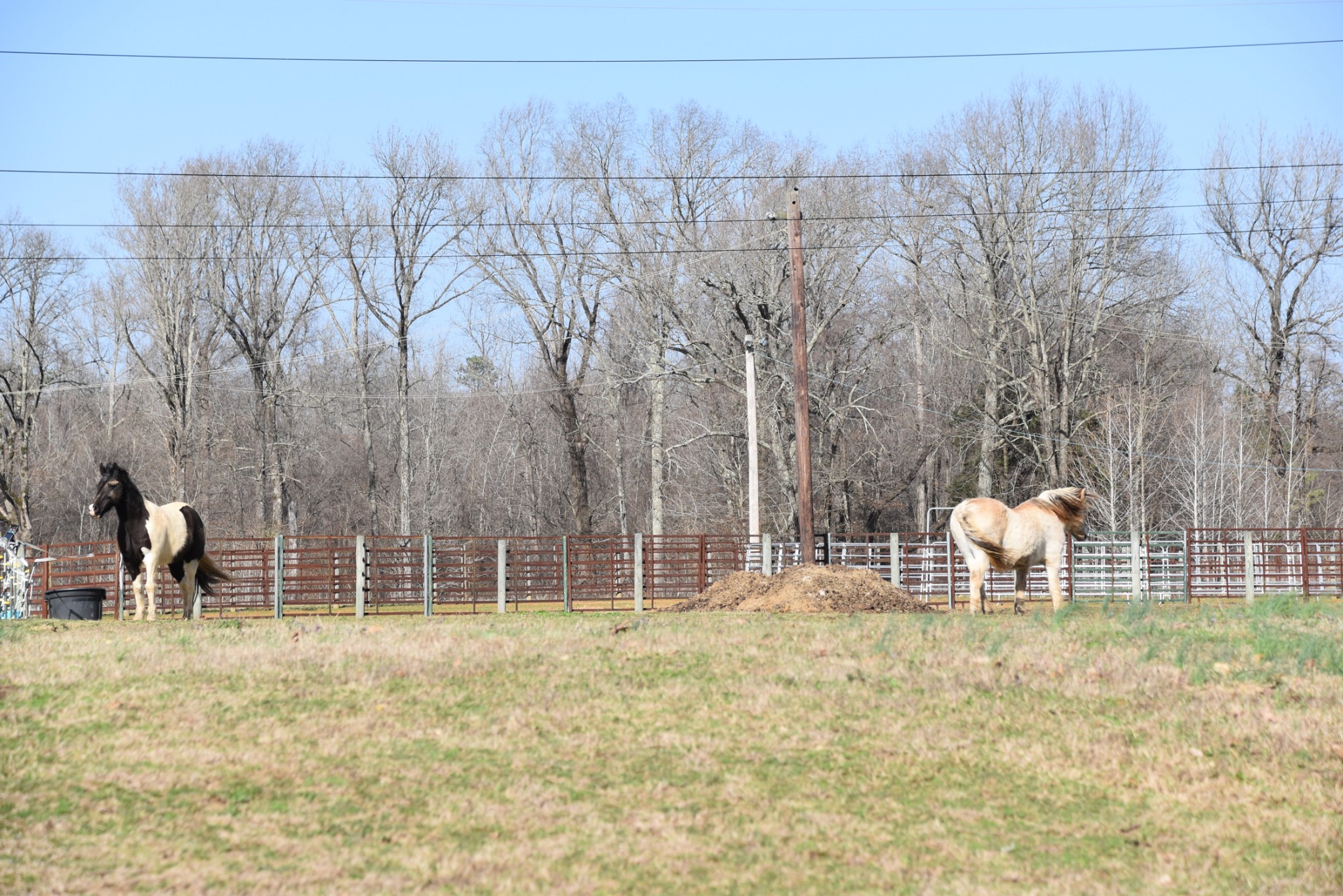 407 McLeary Road Jackson, TN 38305 - Photo 34 of 42 a view of a chair and table in the yard