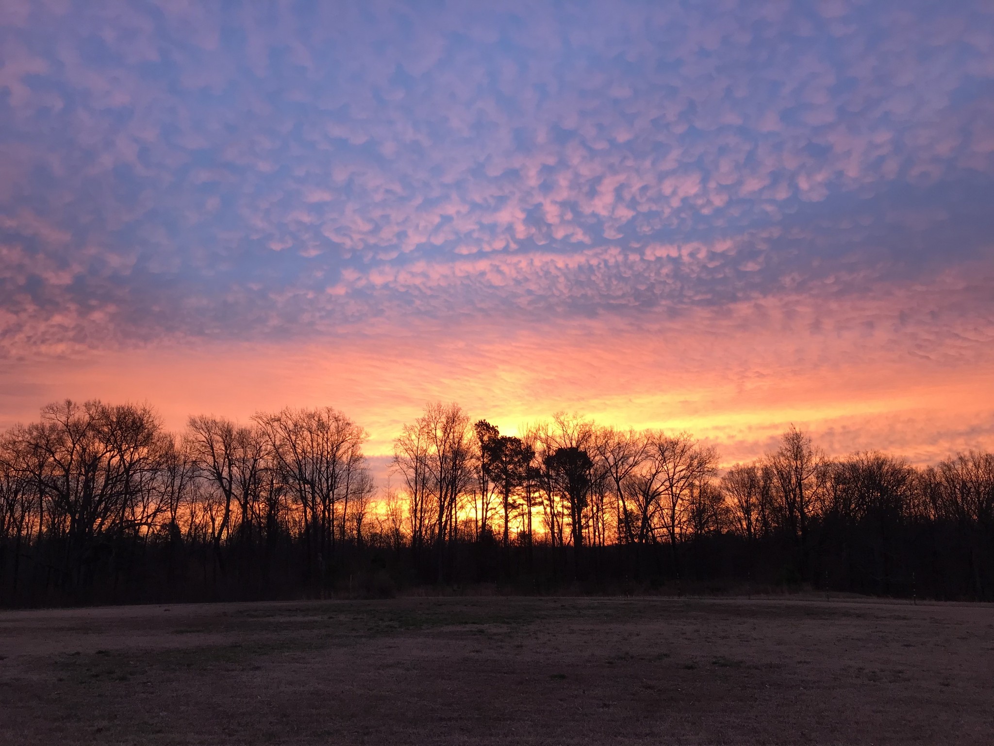 407 McLeary Road Jackson, TN 38305 - Photo 37 of 42 a view of sunset