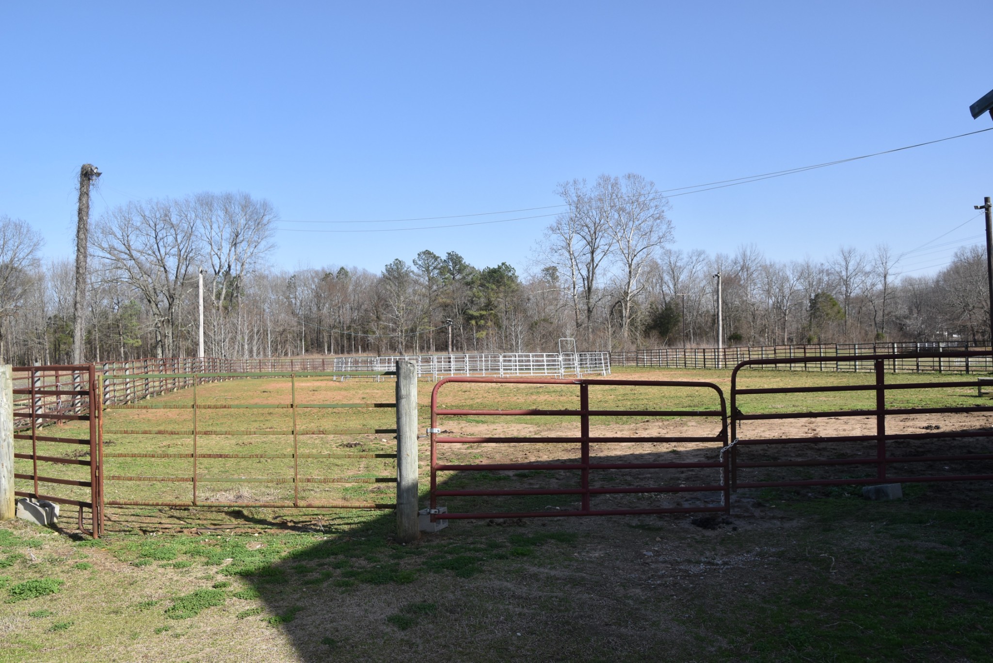 407 McLeary Road Jackson, TN 38305 - Photo 38 of 42 a view of a yard with a bench