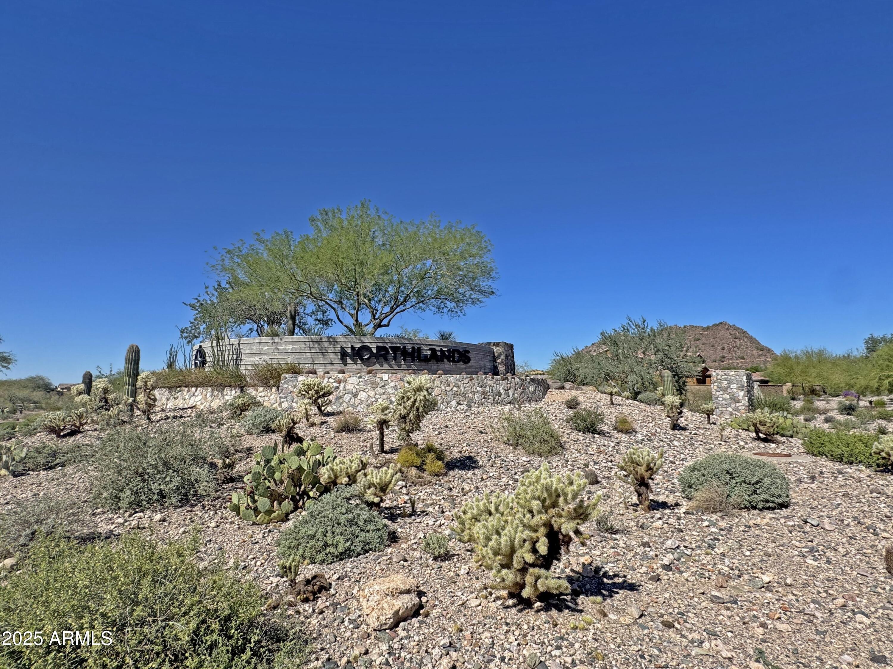 9916 West Redbird Road Peoria, AZ 85383 - Photo 44 of 96 a view of a field with a tree in the background