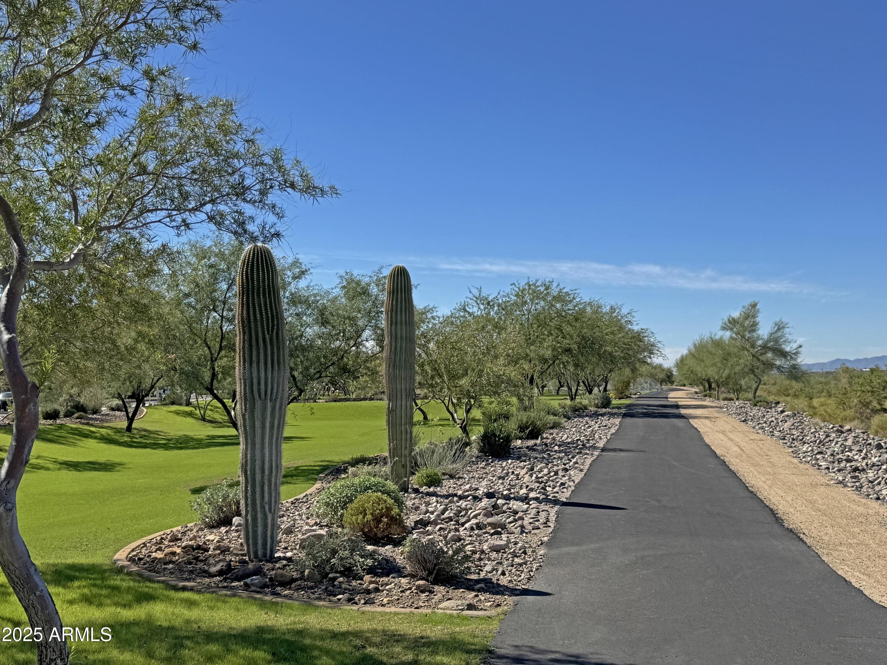 9916 West Redbird Road Peoria, AZ 85383 - Photo 54 of 96 a view of a yard with flower plants and large trees