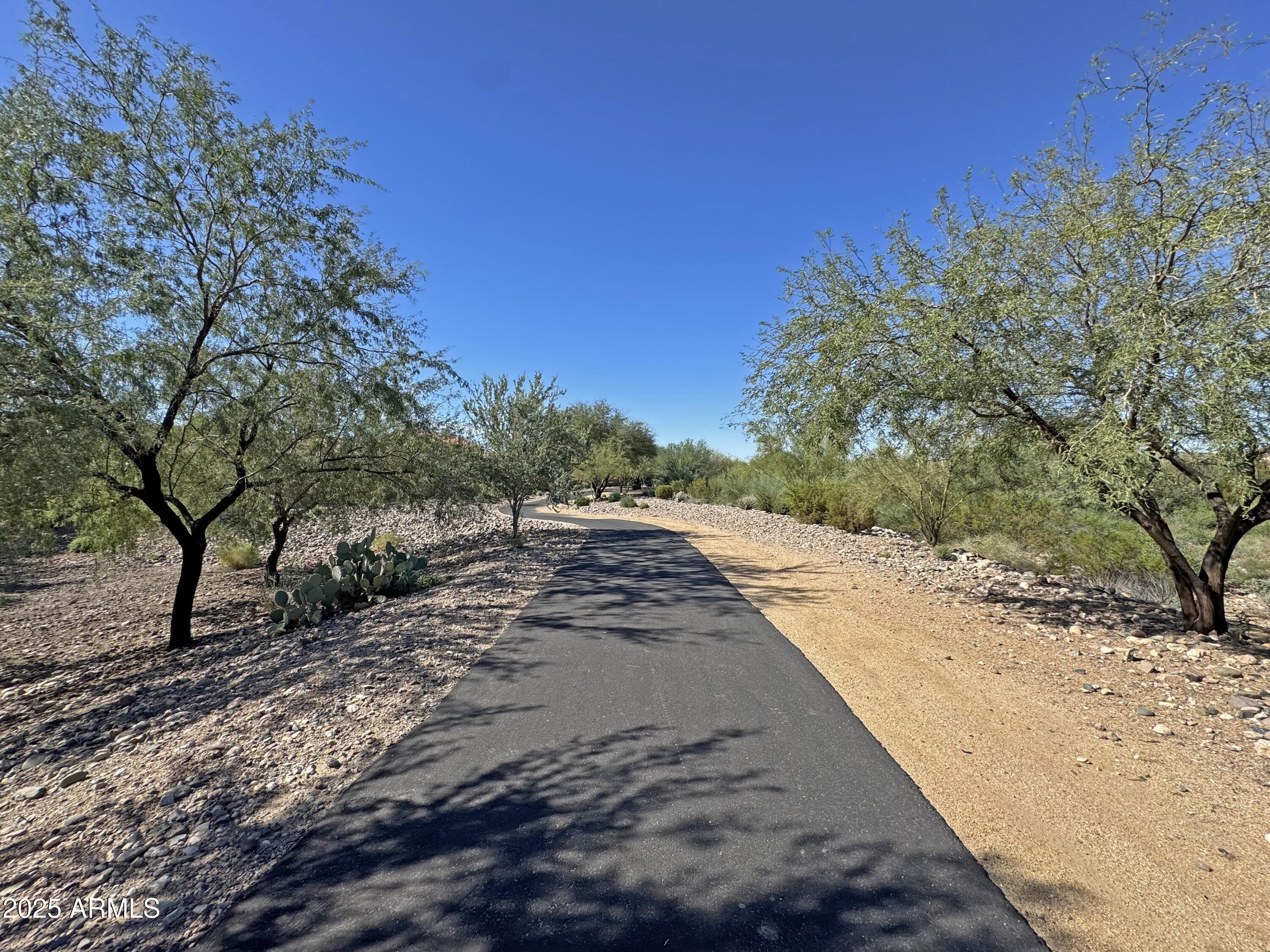 9916 West Redbird Road Peoria, AZ 85383 - Photo 55 of 96 a view of a yard with a tree