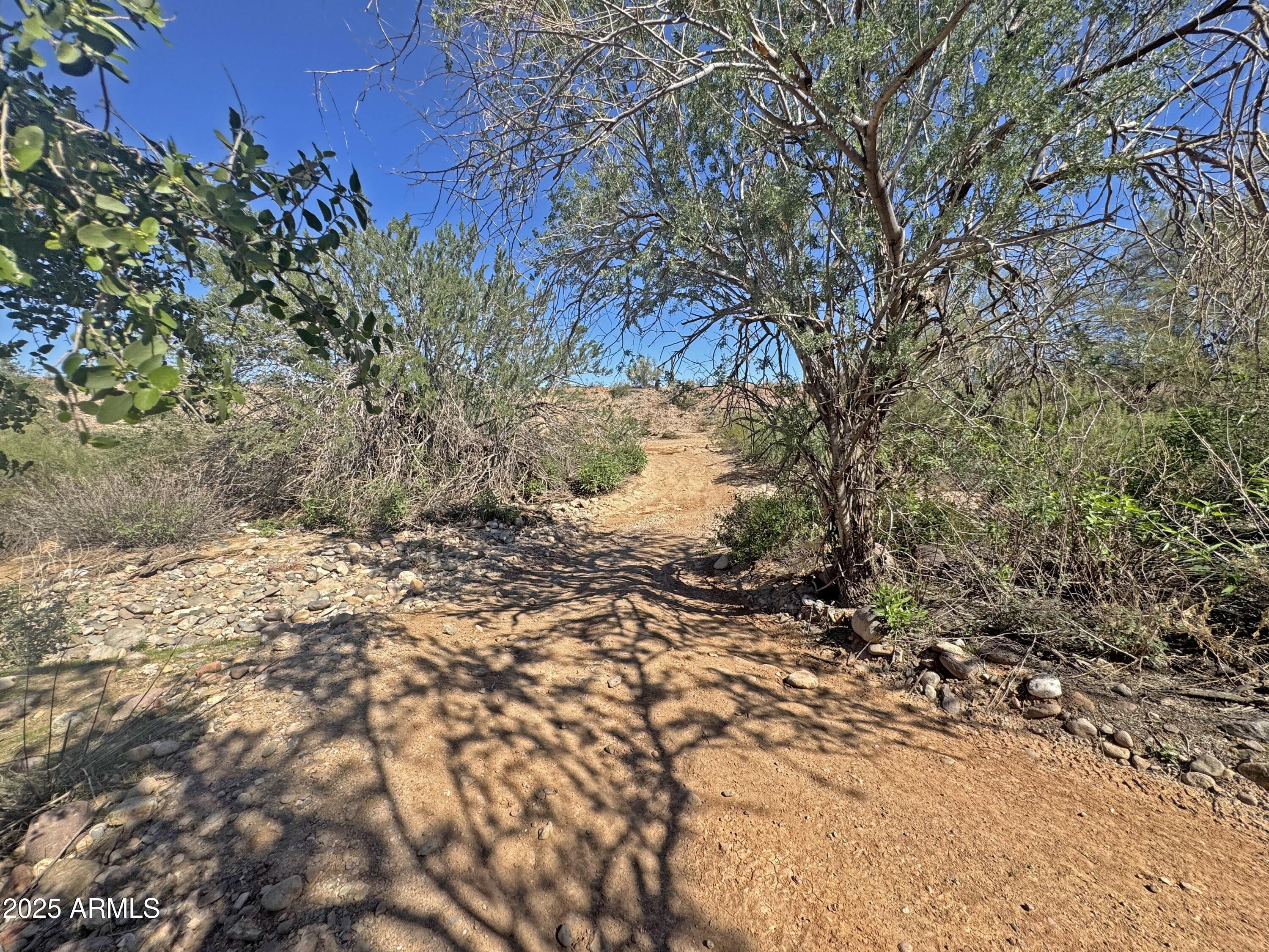 9916 West Redbird Road Peoria, AZ 85383 - Photo 69 of 96 a view of a yard with a tree