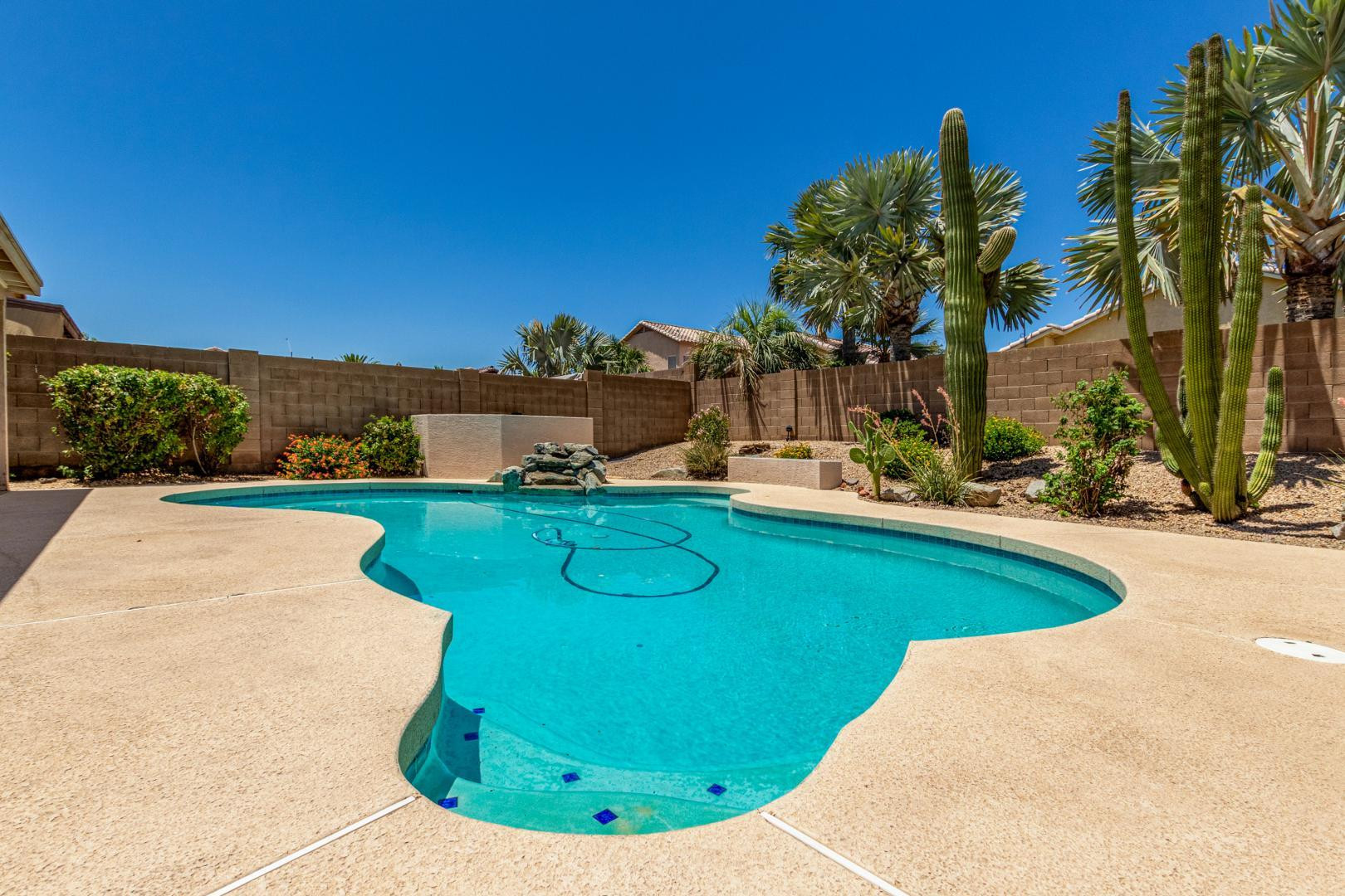 2412 East Wescott Drive Phoenix, AZ 85050 - Photo 24 of 26 Photo #24