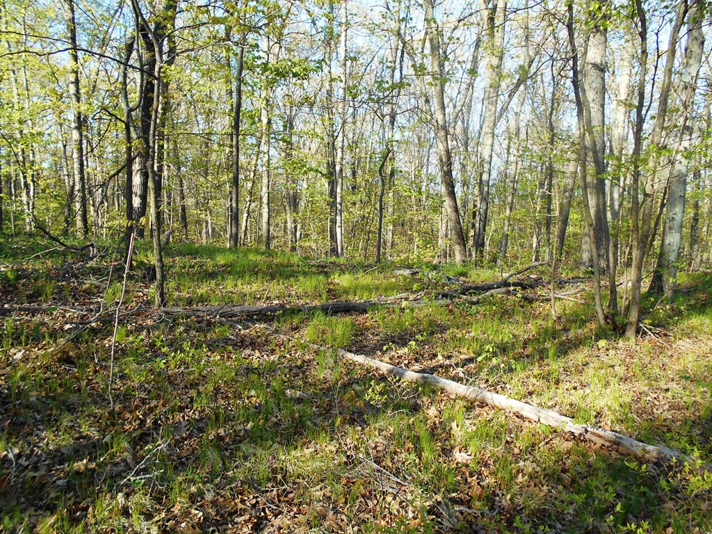0 Old River Road Lincoln, RI 02865 - Photo 3 of 5
