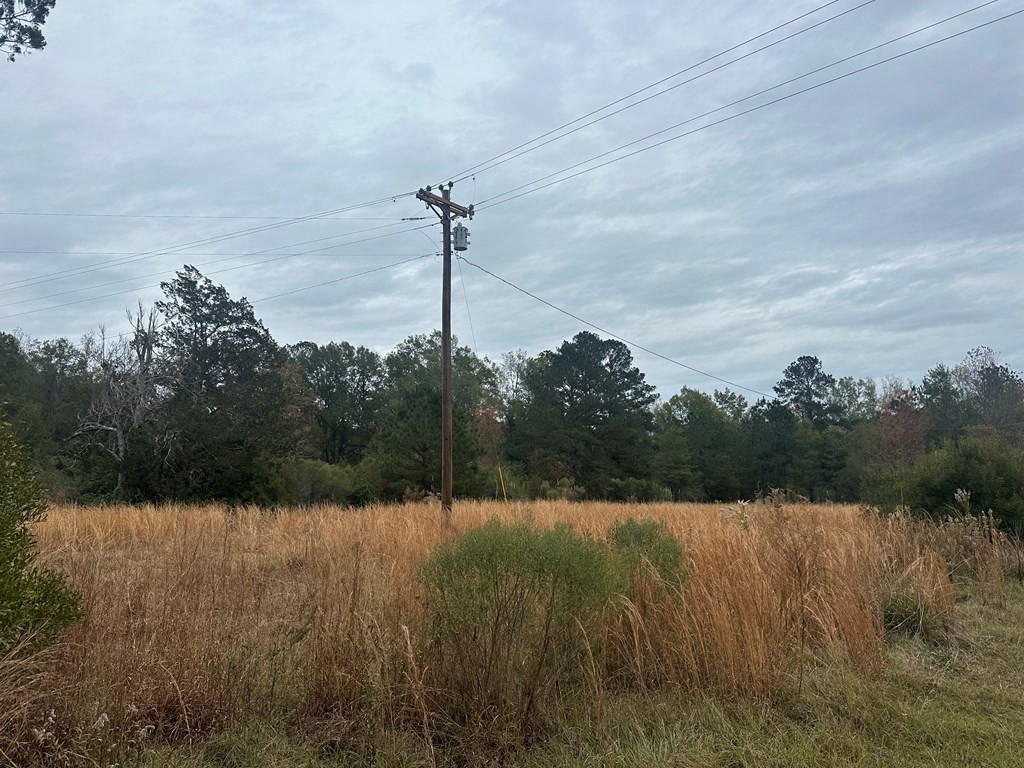 1577 Brumfield Road Southwest Bogue Chitto, MS 39629 - Photo 7 of 10 Photo 7