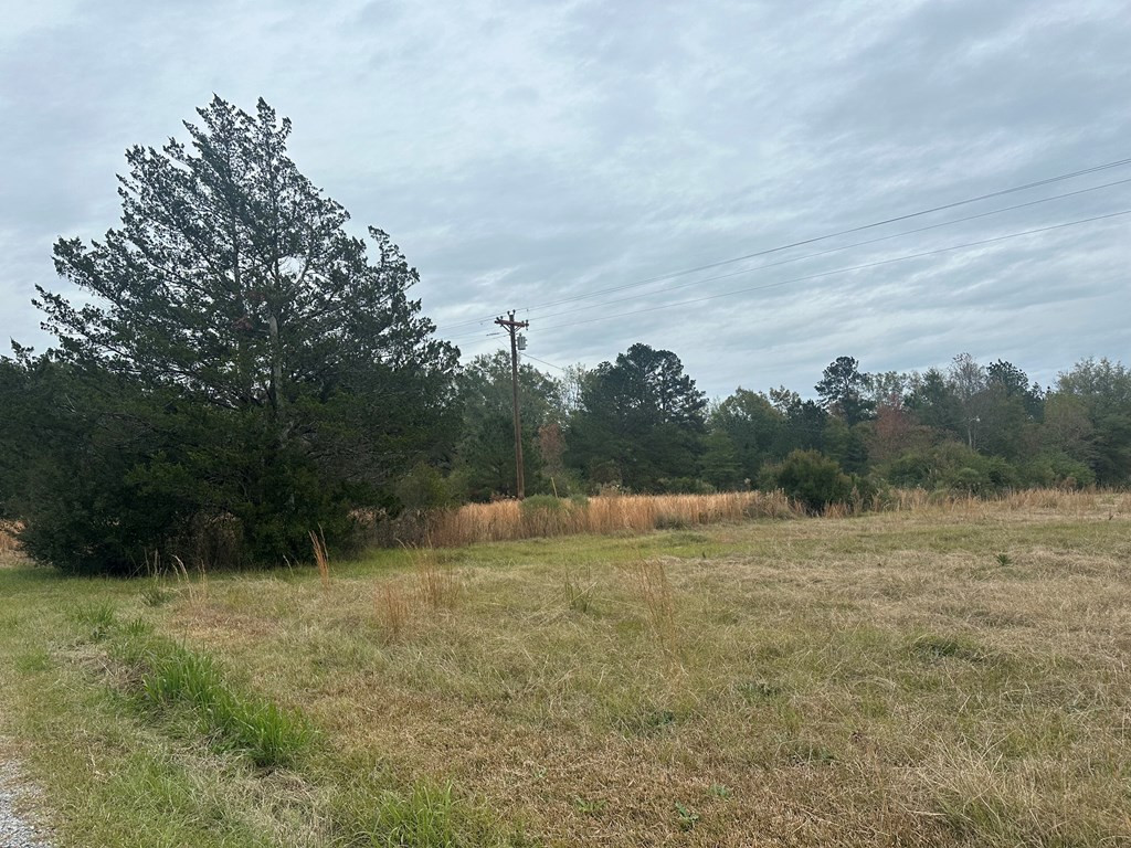 1577 Brumfield Road Southwest Bogue Chitto, MS 39629 - Photo 8 of 10 Photo 8